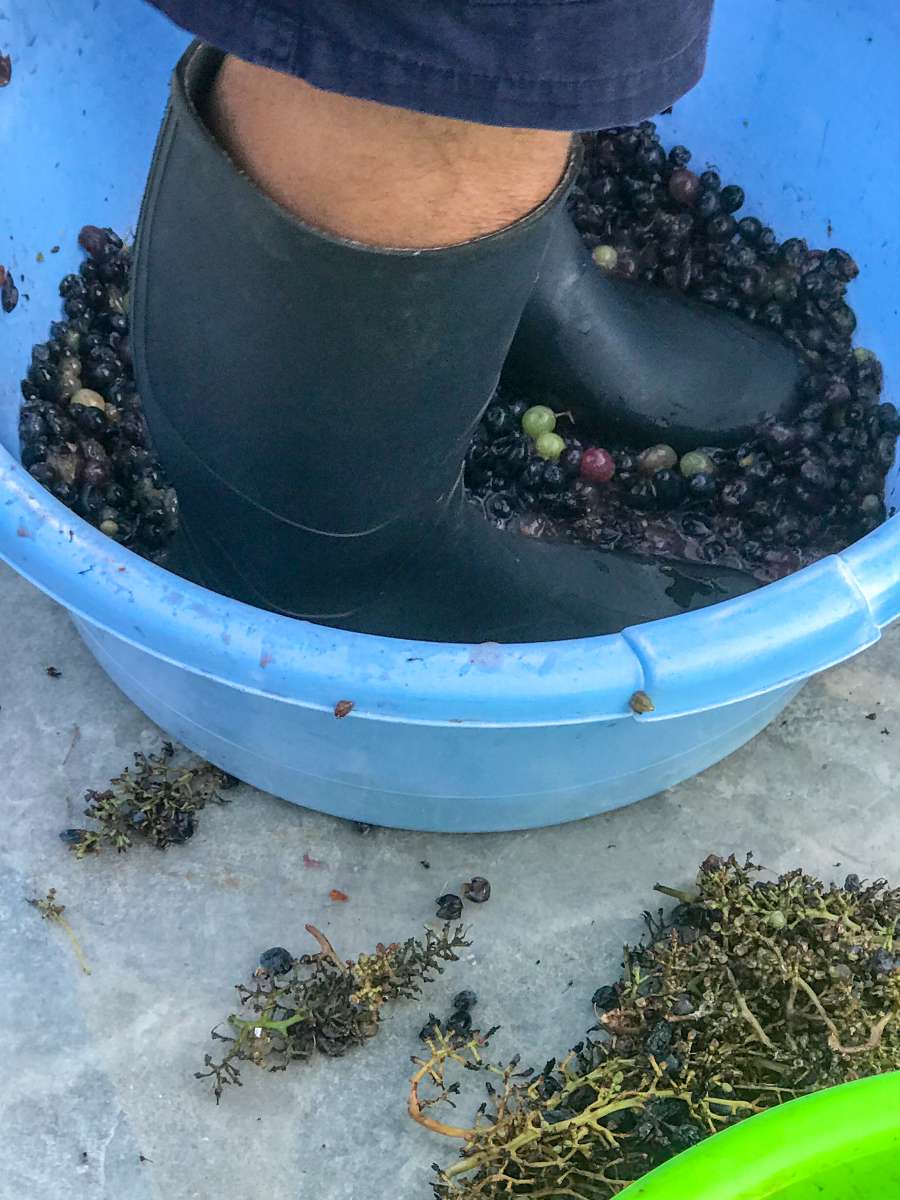 Κρασί - Τσίπουρο