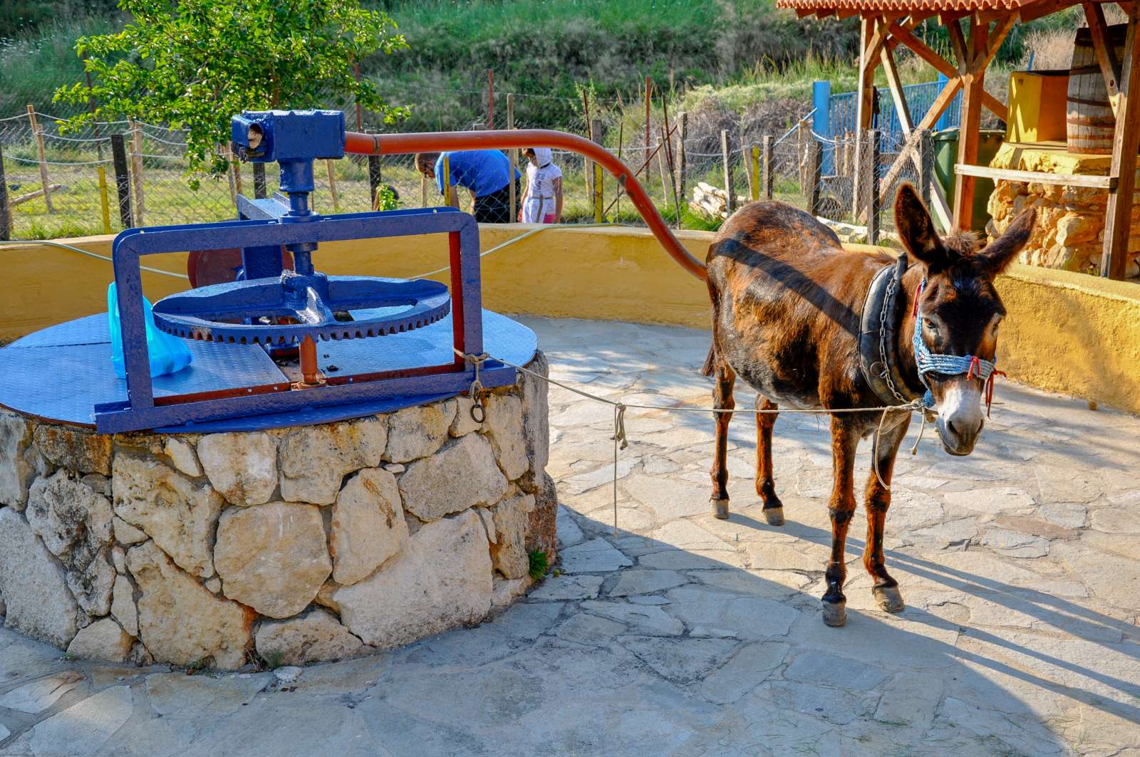 Μαγγανοπήγαδο